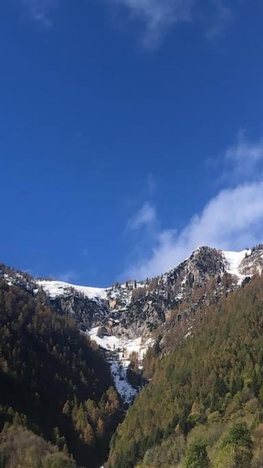 Il Sole Di Ester Branzi Esterno foto
