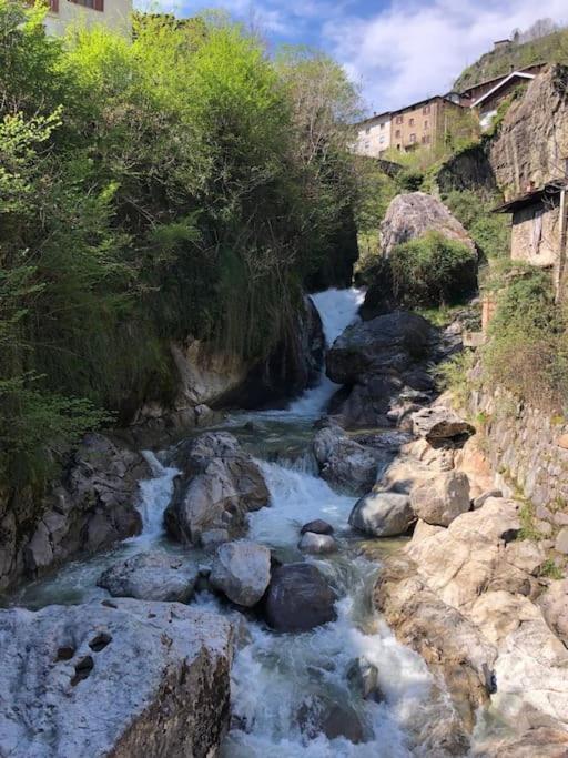 Il Sole Di Ester Branzi Esterno foto
